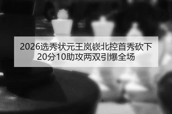 2026选秀状元王岚嵚北控首秀砍下20分10助攻两双引爆全场